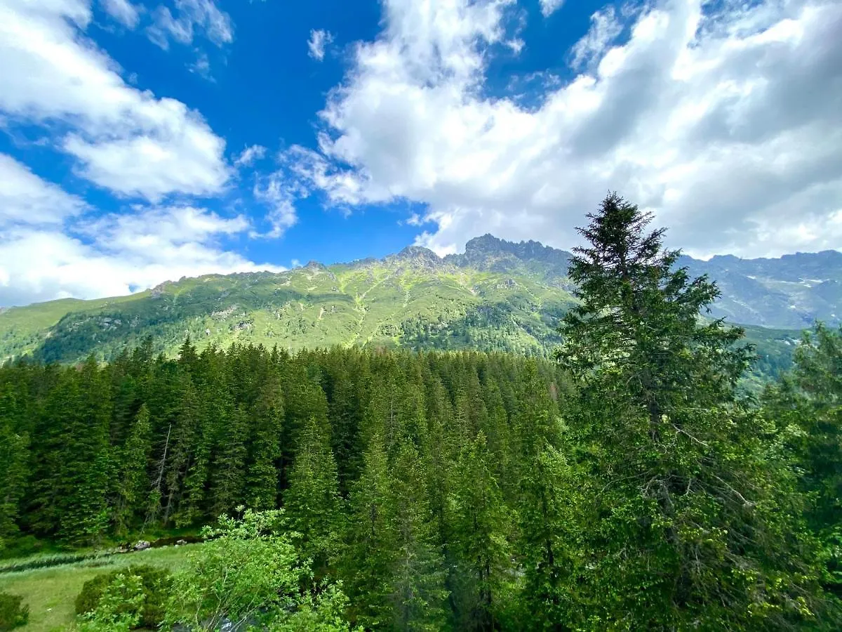 Domek alpejski Domki Vika Home i Wataha Home Zakopane